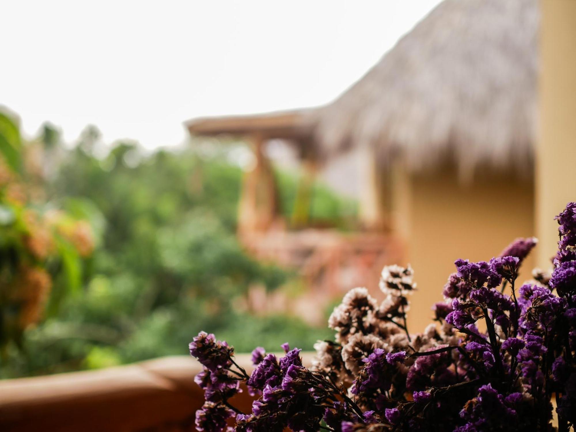Carpe Diem Casitas&Villas Mazunte Zimmer foto